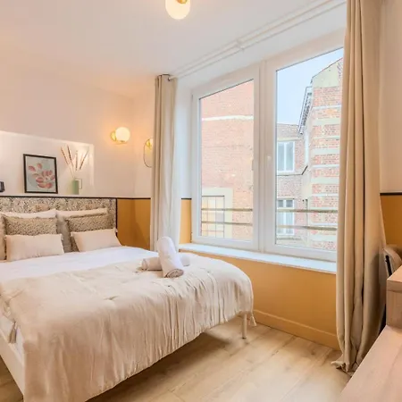 5-bedroom House In The Centre Of Lille. *