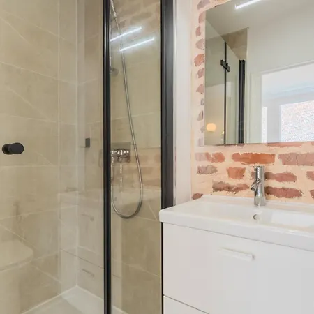 5-bedroom House In The Centre Of Lille. * リール
